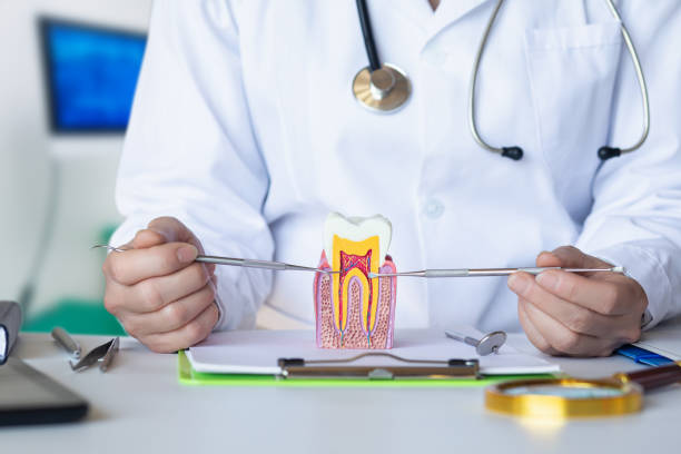 Best Weekend Emergency Dentist in Panama, OK